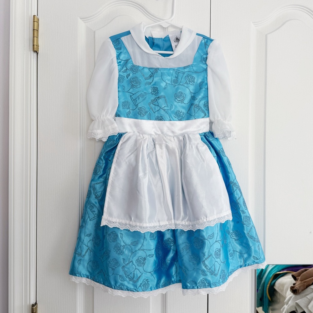 Disney Blue and White Princess Dress Costume